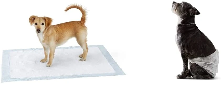 Pet Supply Products Accessoires Hot Sale High Absorbent Disposable Puppy Training Pad Pet Training Products Dog Cat PEE Pads